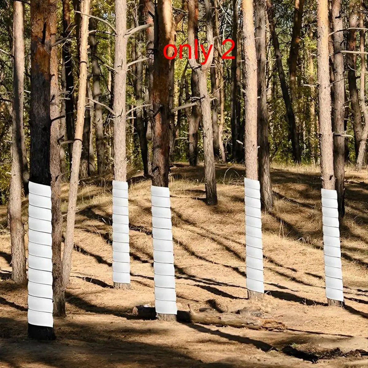 A75K Plant Tree Trunk Protecto - đánh giá và giá Gardening Hand Tools B&Q