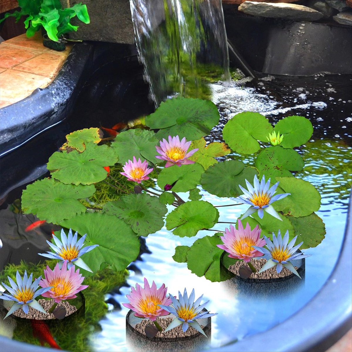 BHBL 4 Pcs X Aquatic Planting  - đánh giá và giá Gardening Hand Tools B&Q