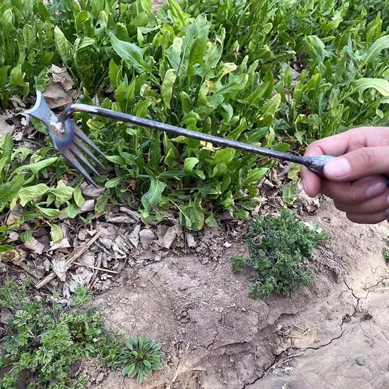 Garden Weeders Grass Hand Weed - đánh giá và giá Gardening Tools To Remove Weeds