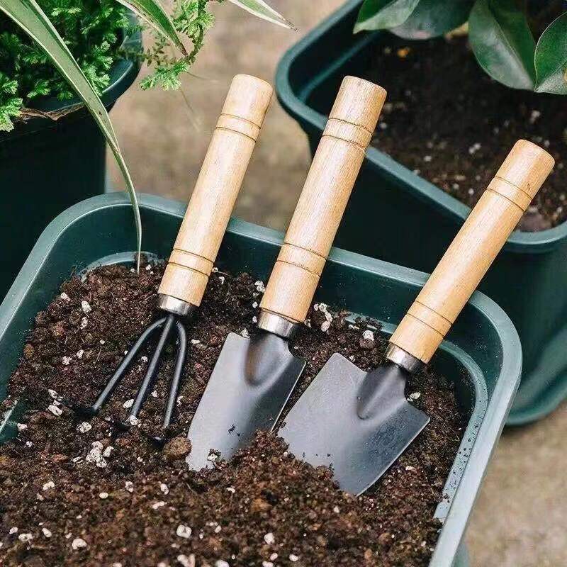3PC/1Set Mini Gardening Tools  - đánh giá và giá Gardening Tools Combo
