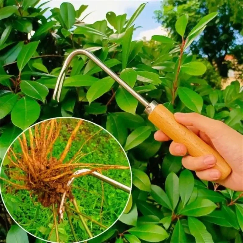 Stainless Steel Gardening Weed - đánh giá và giá Gardening Tools To Remove Weeds